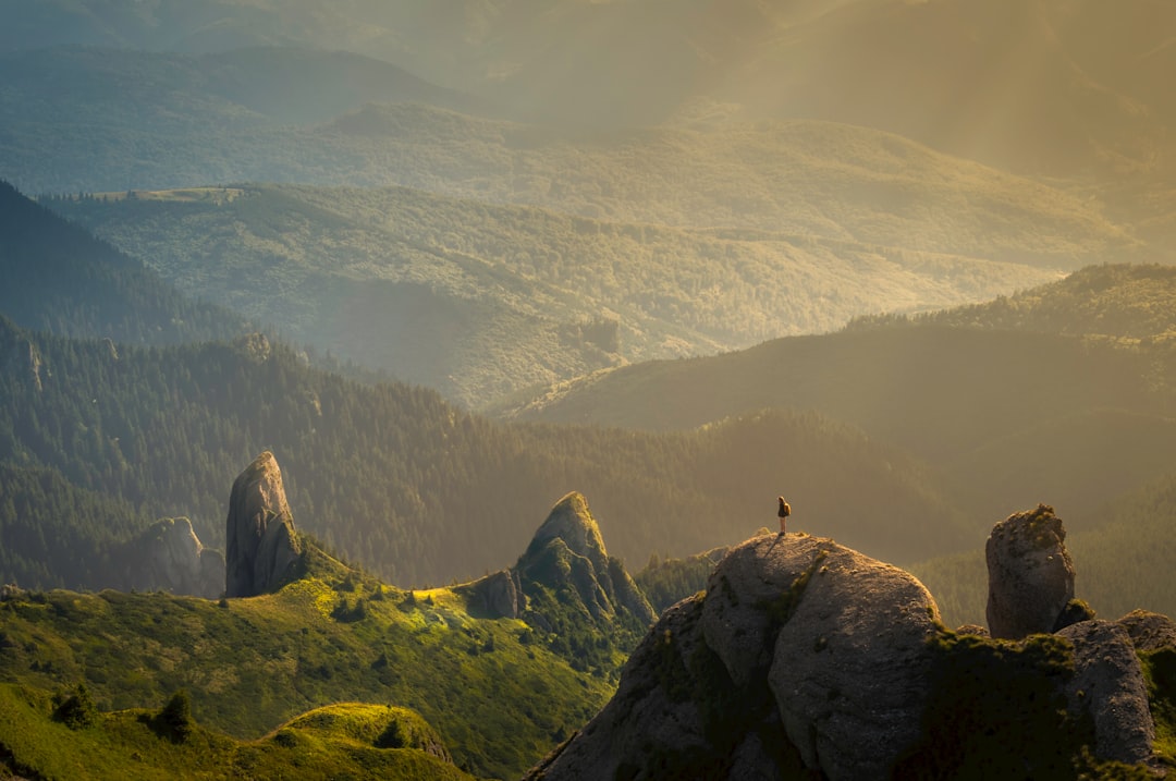 Unlocking the Power of Symbiosis